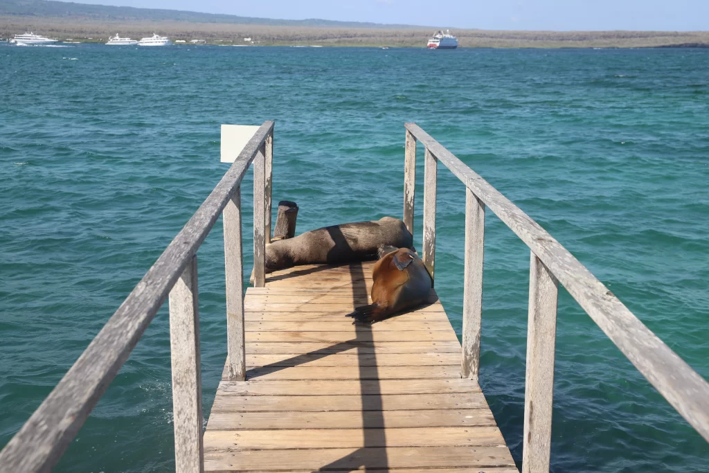 Islas Galápagos, Maravillas De Un Tesoro Natural