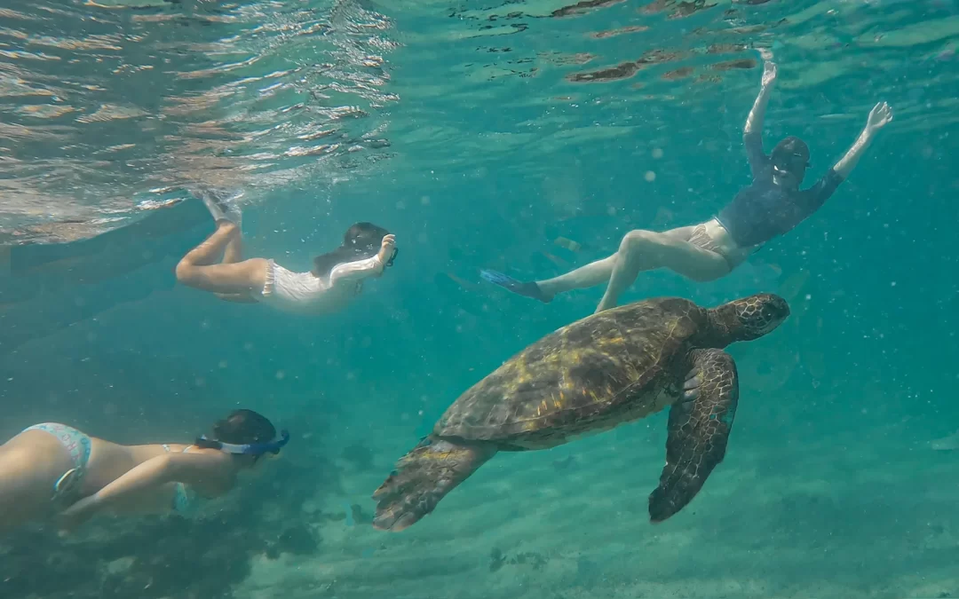 Islas Galápagos, maravillas de un tesoro natural