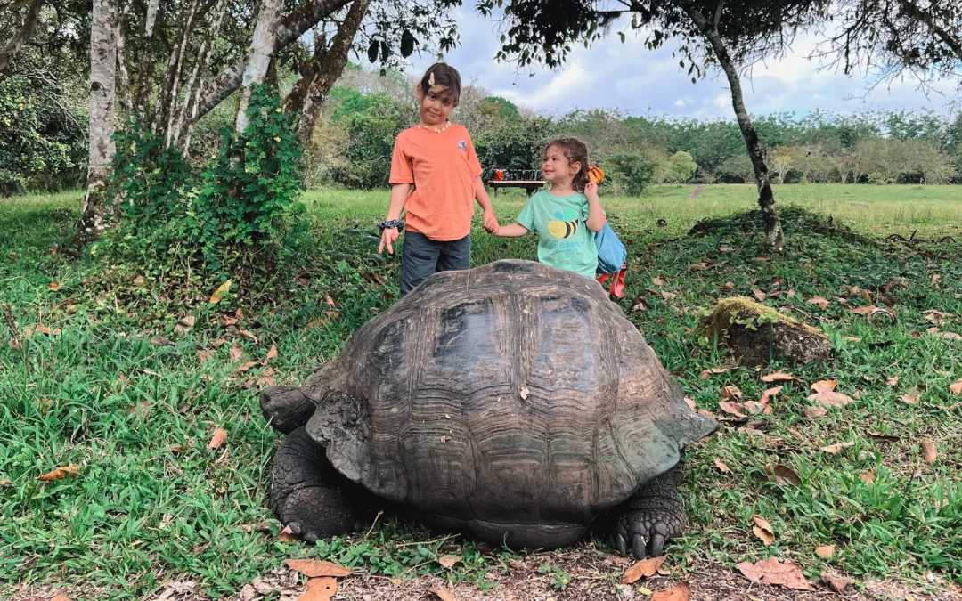 Guía completa para ir a Galápagos