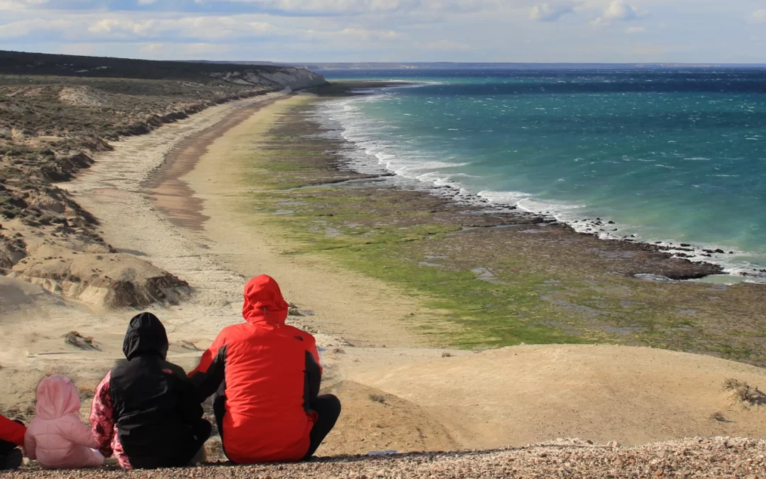 Que hacer en Puerto Pirámides (Península Valdés)