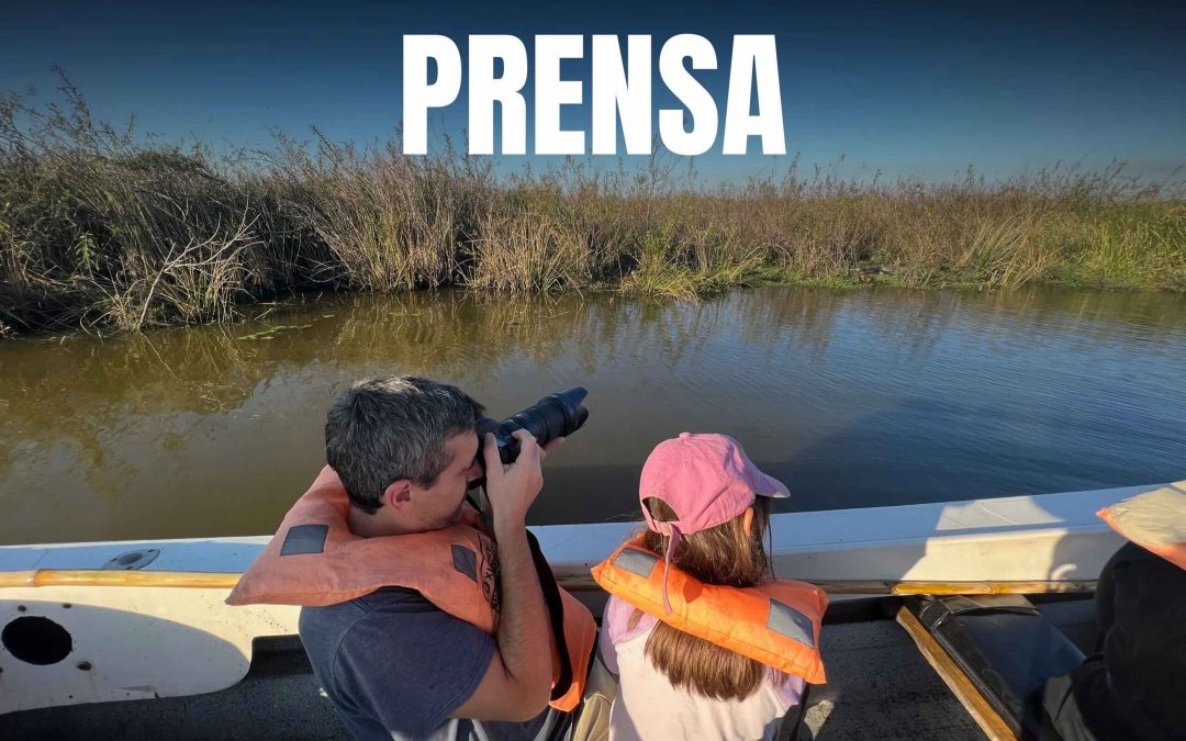 Prensa emeel